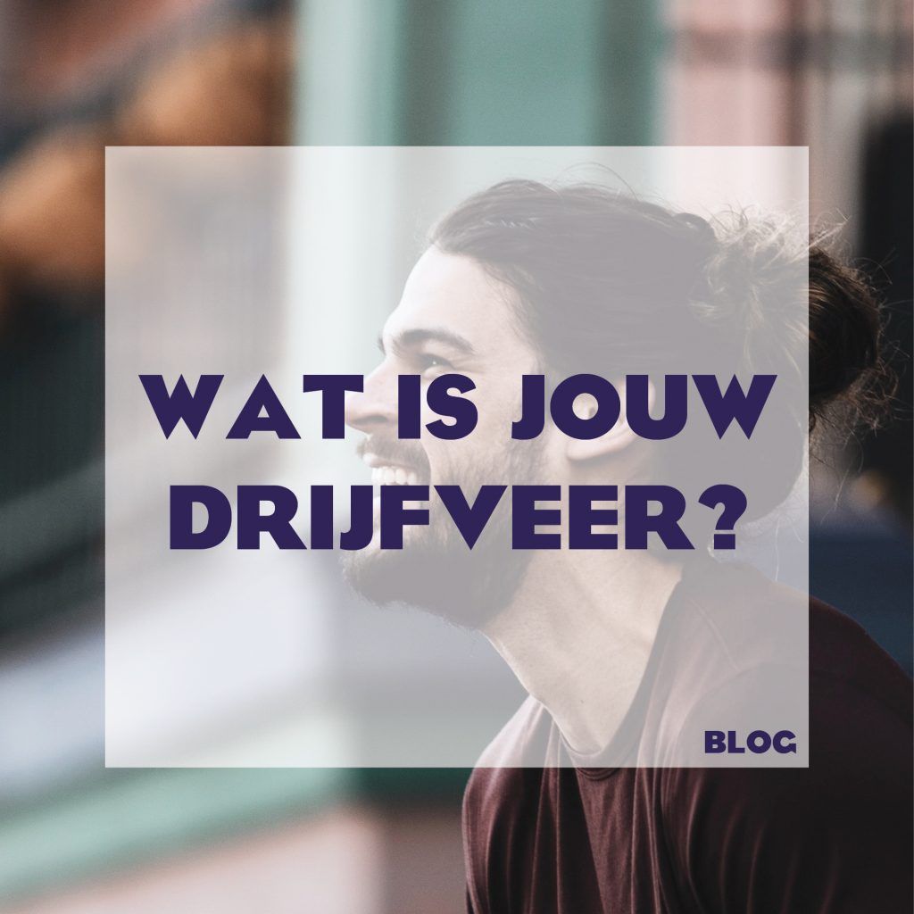 Drijfveer Sinek